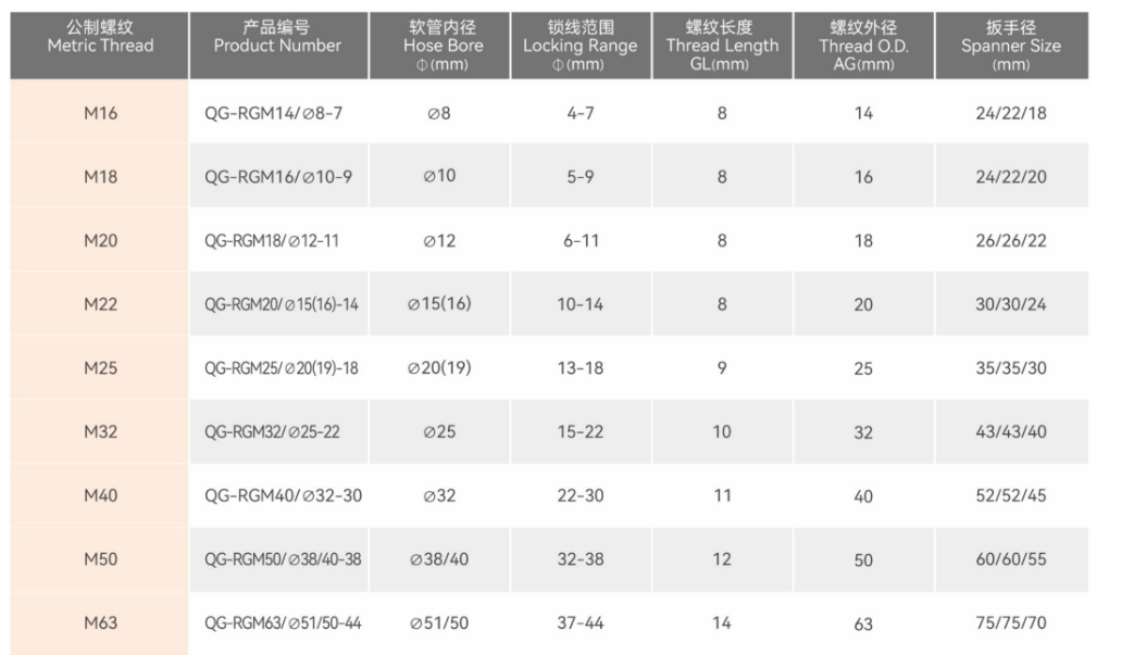 文件上传成功！