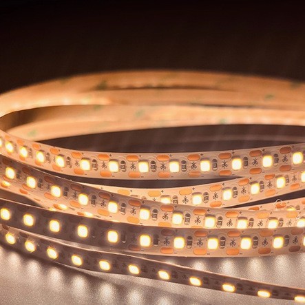 文件上传成功！