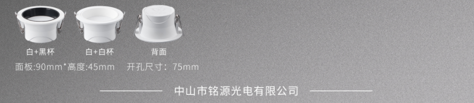 文件上传成功！