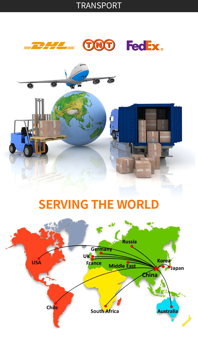 文件上传成功！