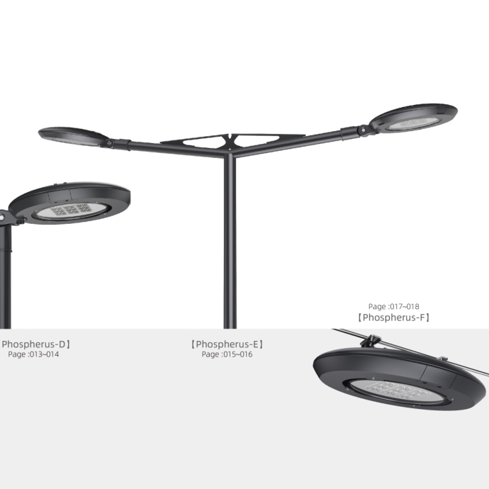 文件上传成功！