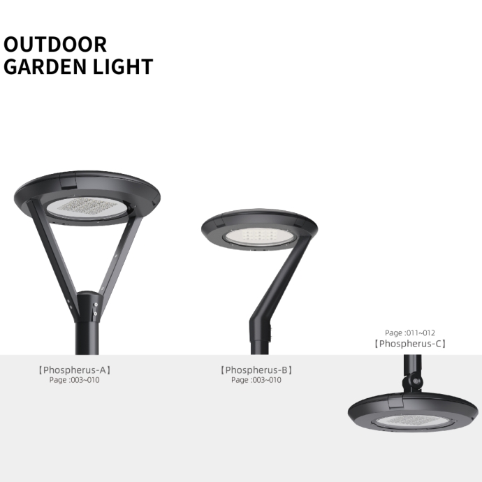 文件上传成功！