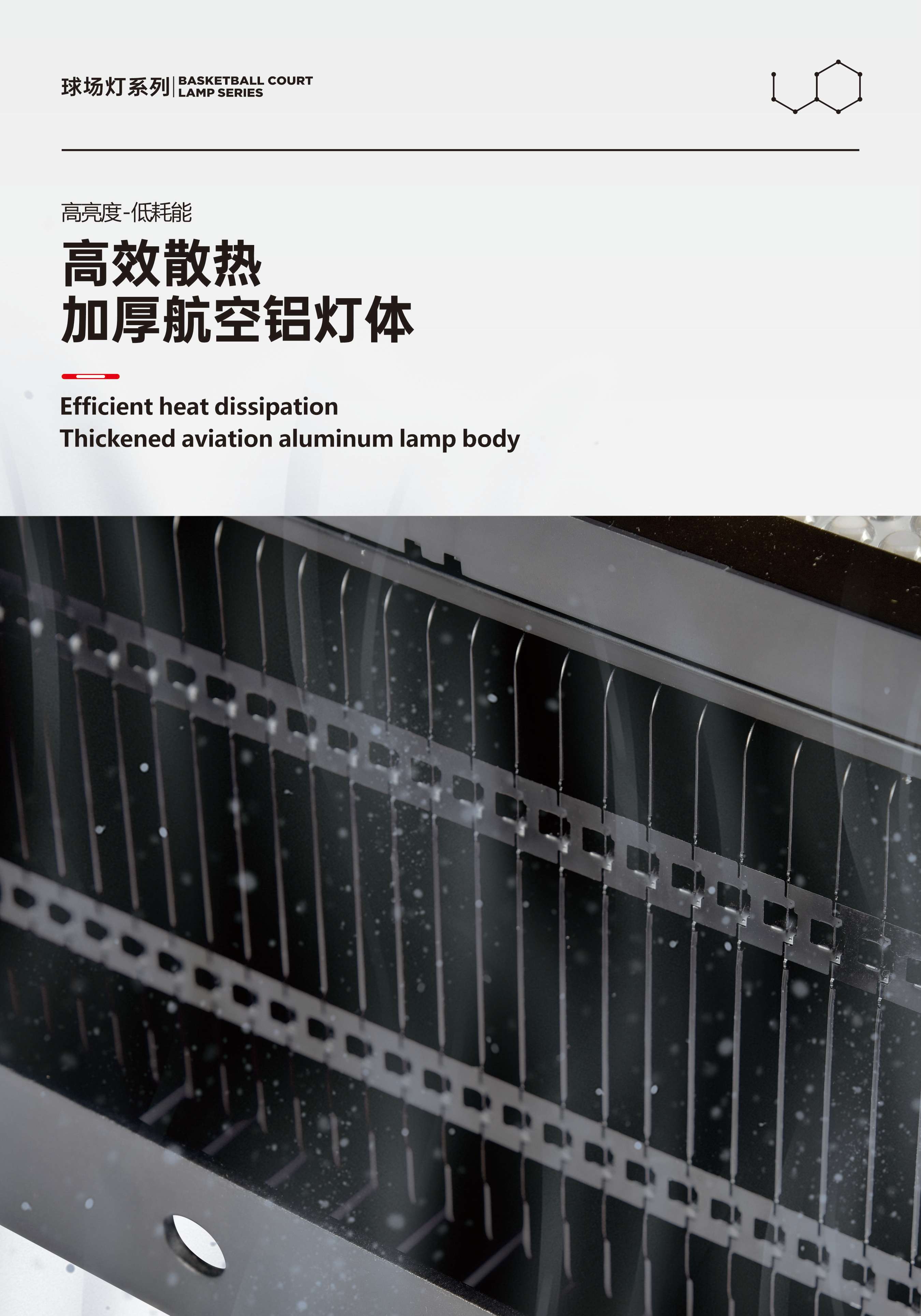 文件上传成功！