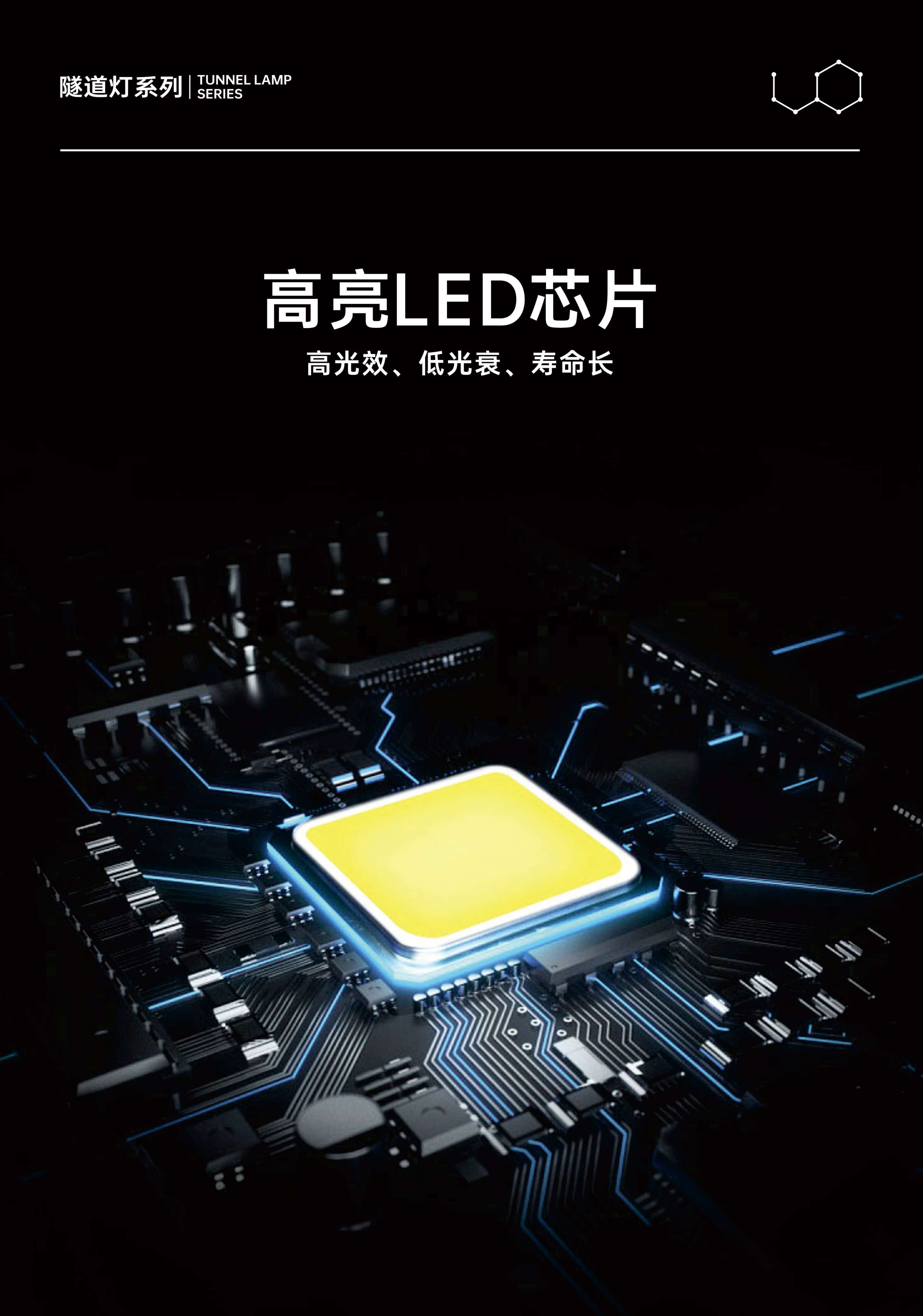 文件上传成功！