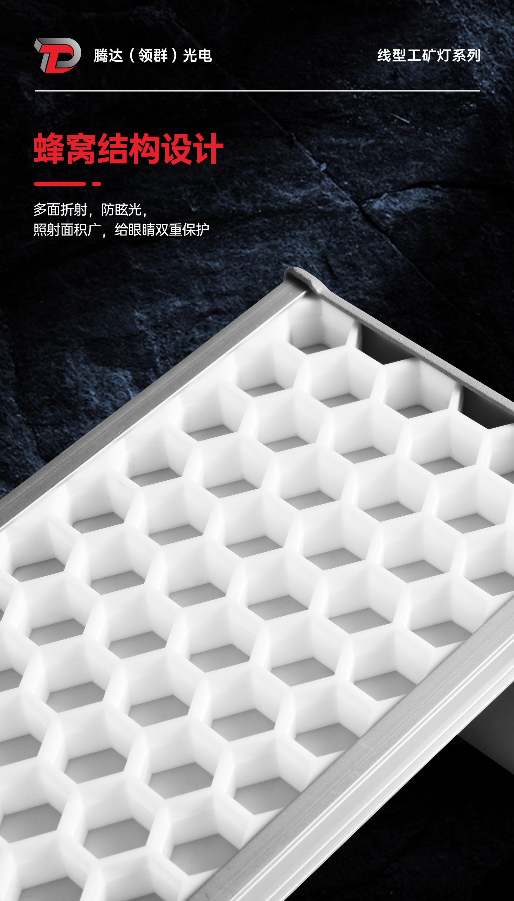 文件上传成功！