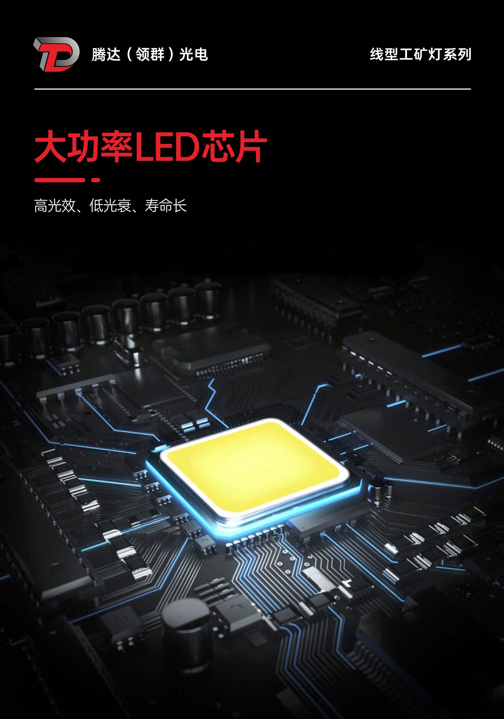 文件上传成功！