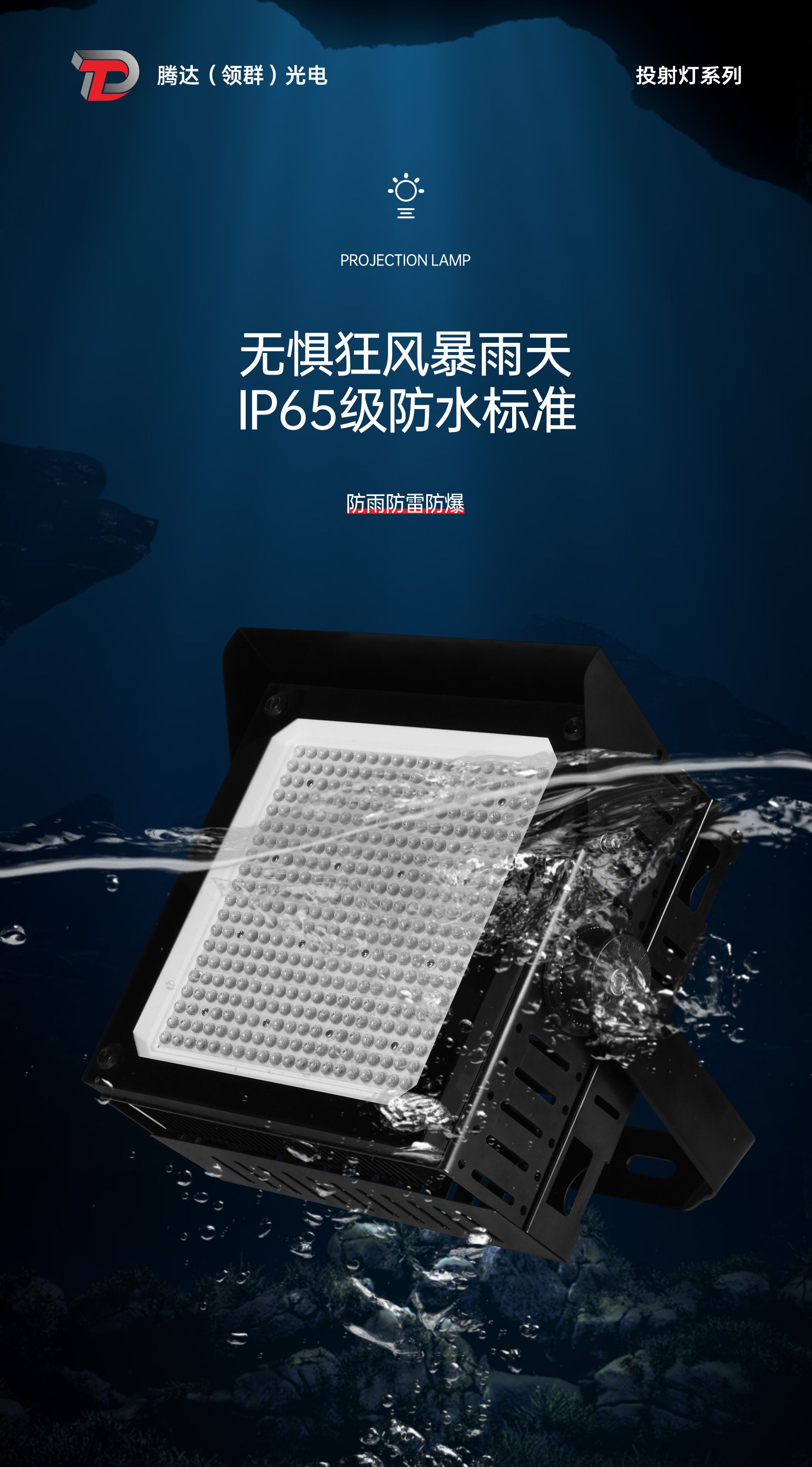 文件上传成功！