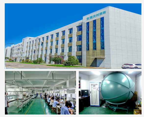 文件上传成功！