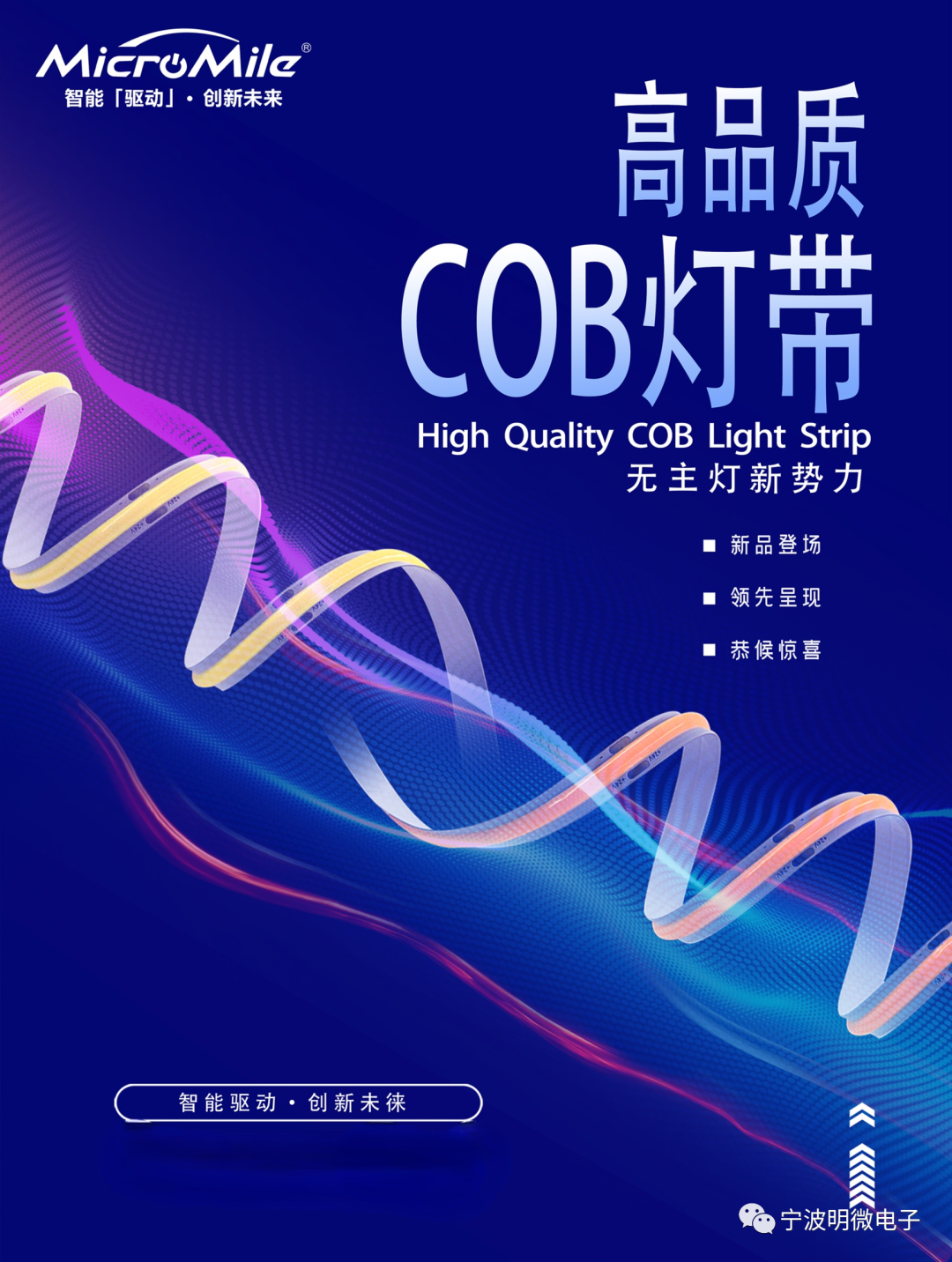 文件上传成功！