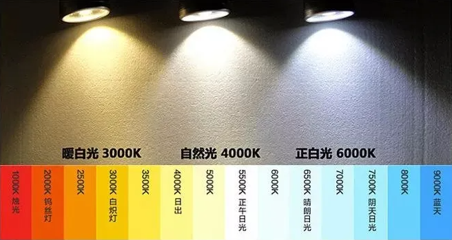 文件上传成功! 文件上传成功!