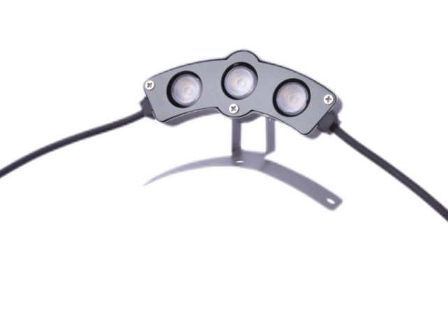 文件上传成功！