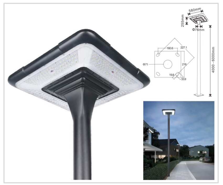 文件上传成功！