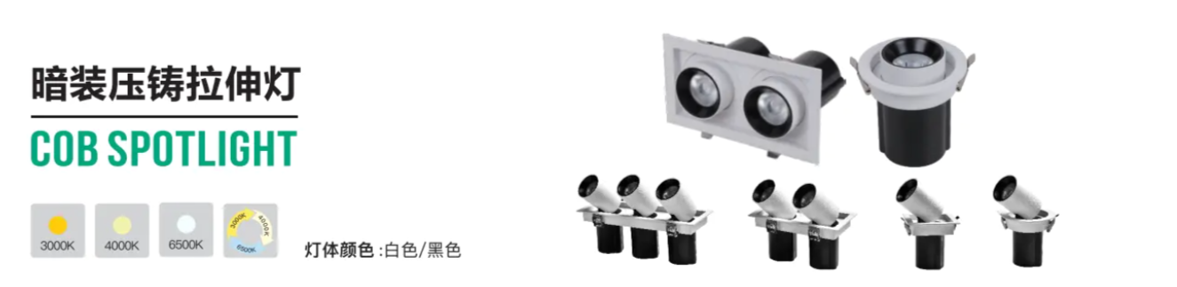 文件上传成功！