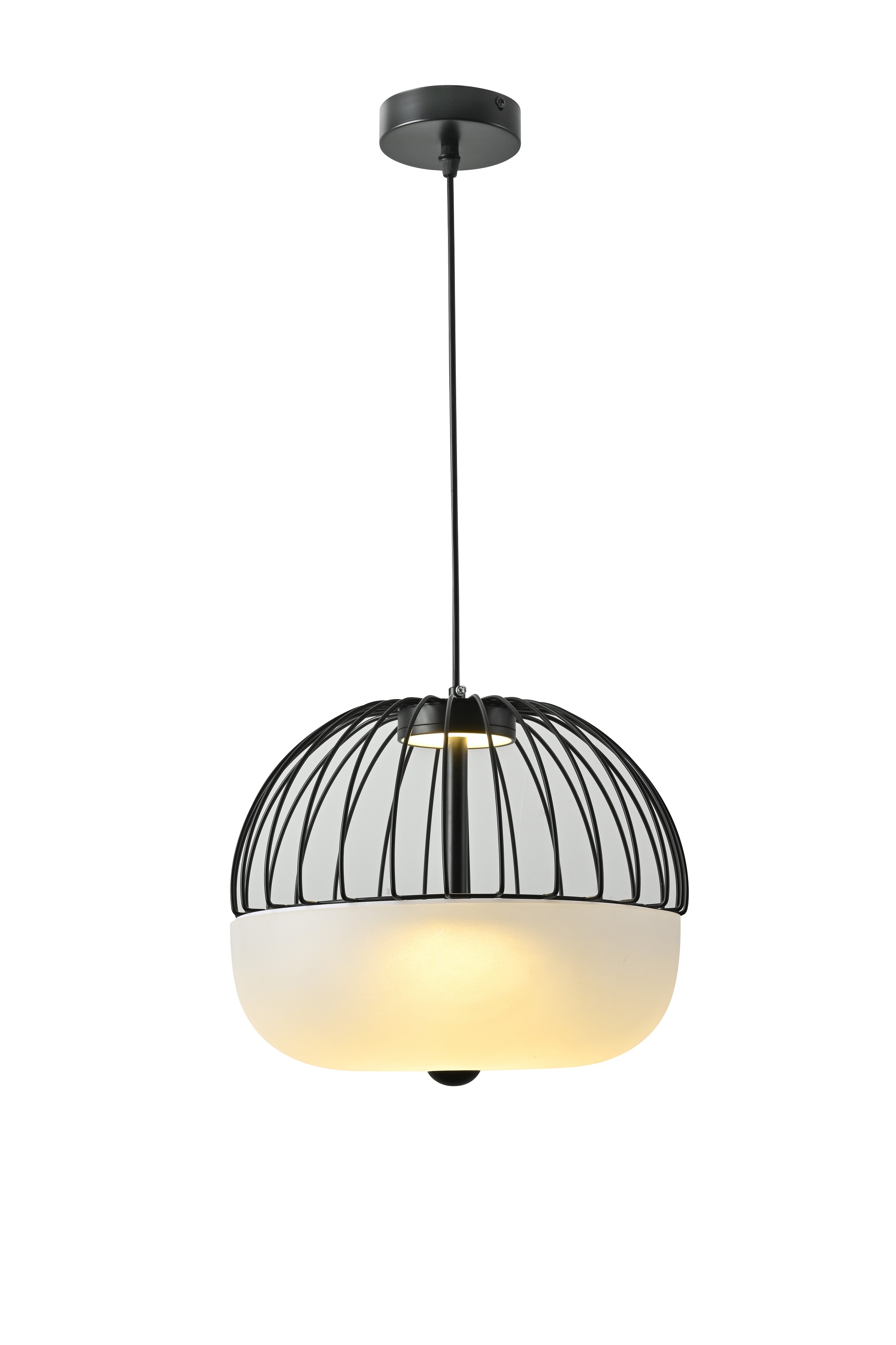 文件上传成功！