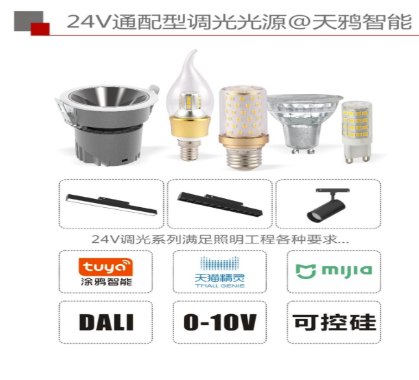 文件上传成功！