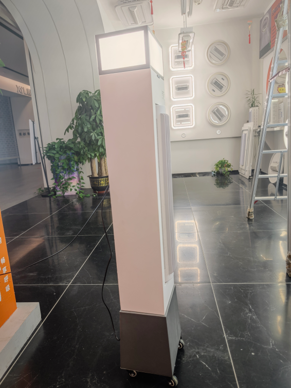 文件上传成功！