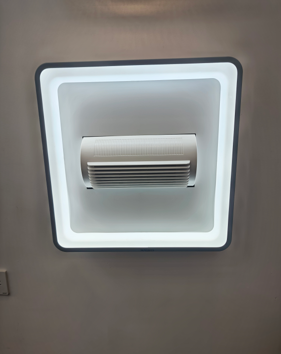 文件上传成功！