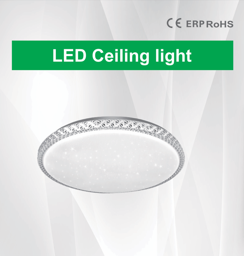 文件上传成功！