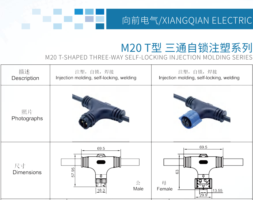 文件上传成功！