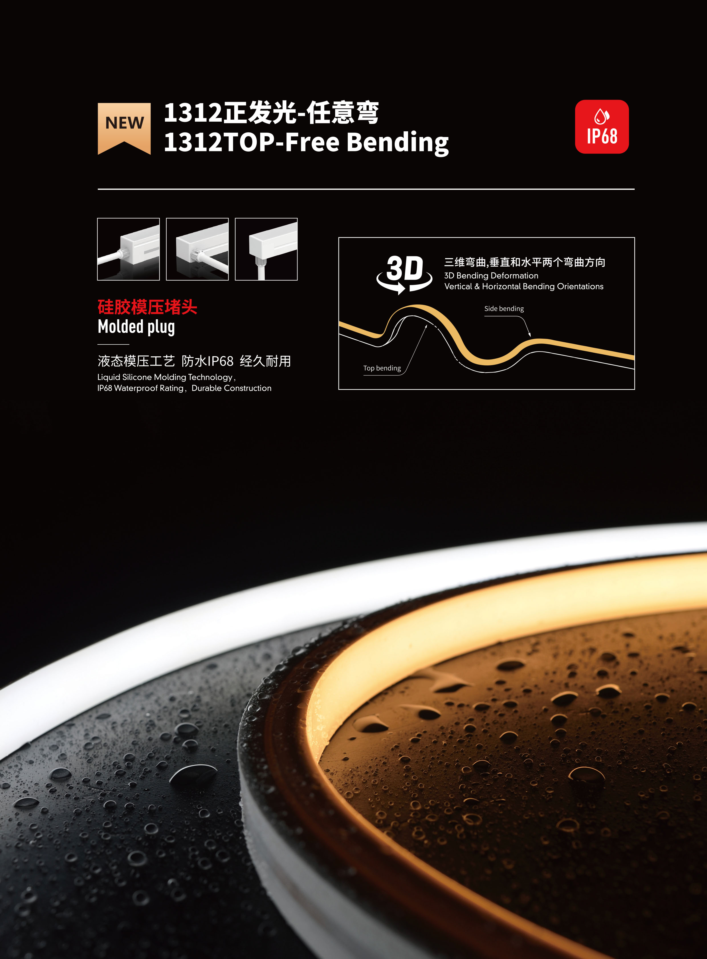 文件上传成功！