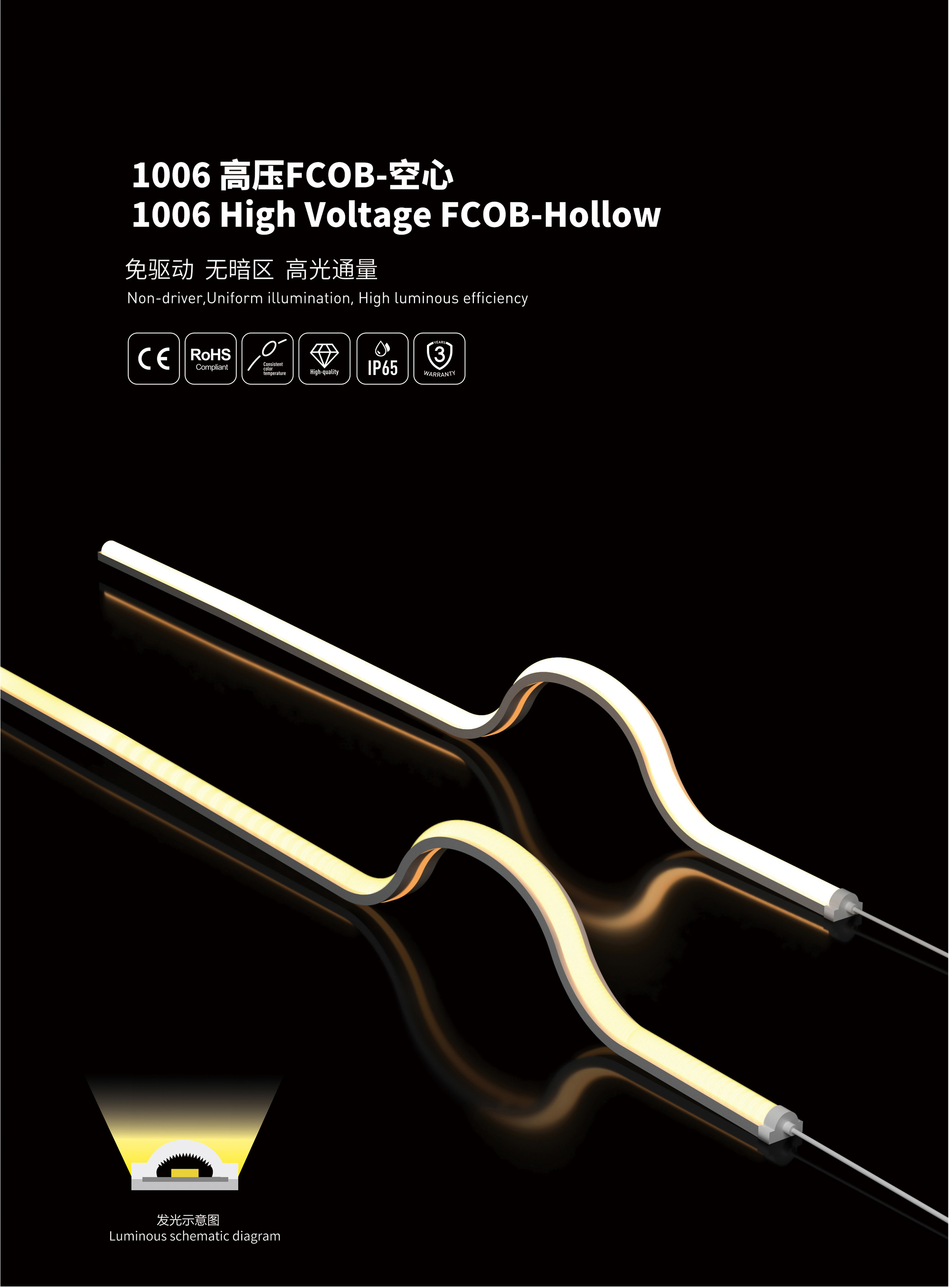 文件上传成功！