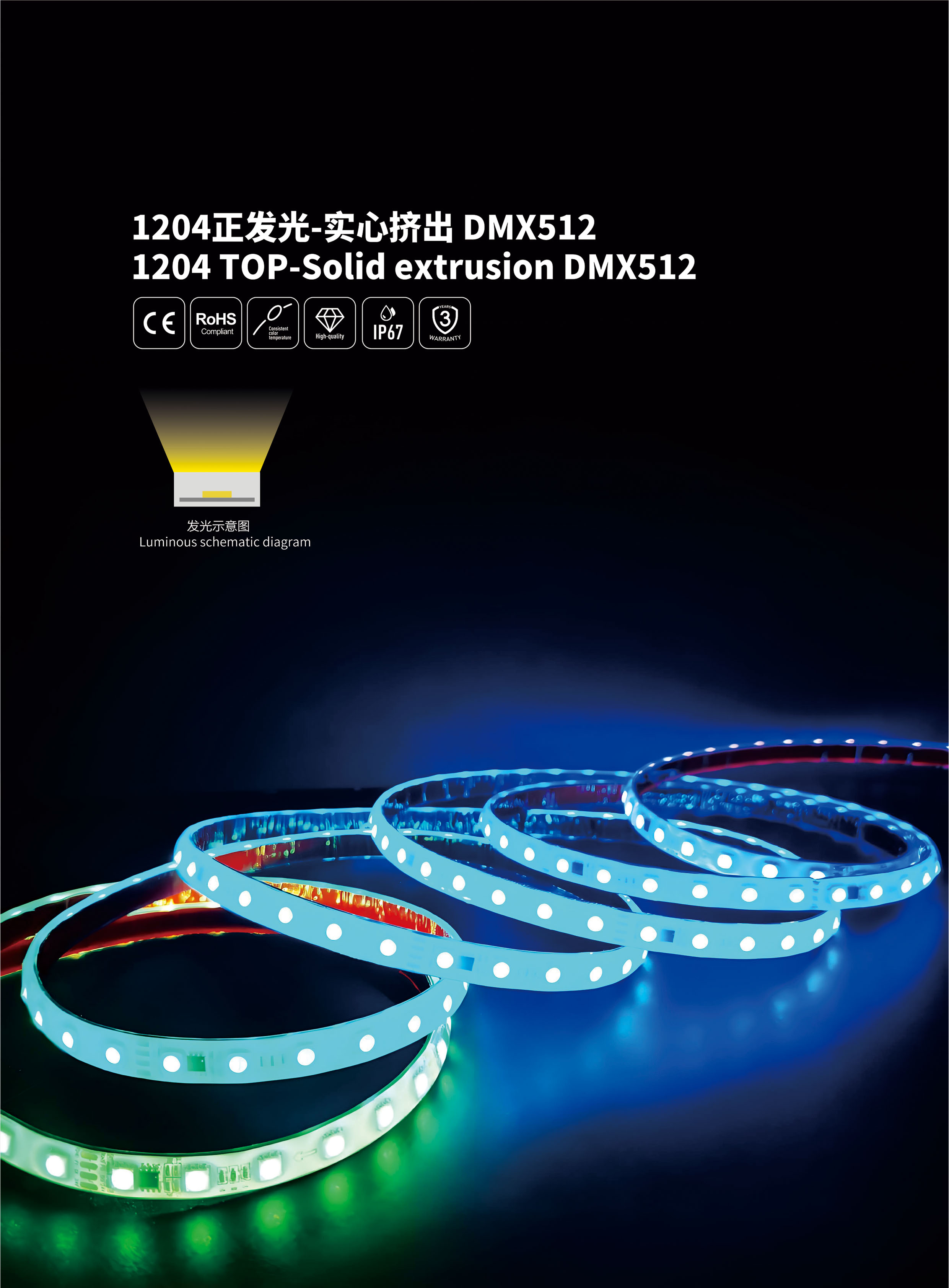 文件上传成功！