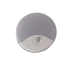 文件上传成功！