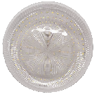 文件上传成功！