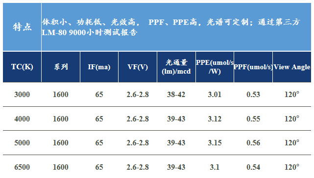 文件上传成功！