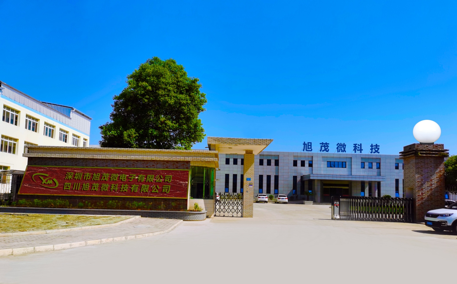 文件上传成功！