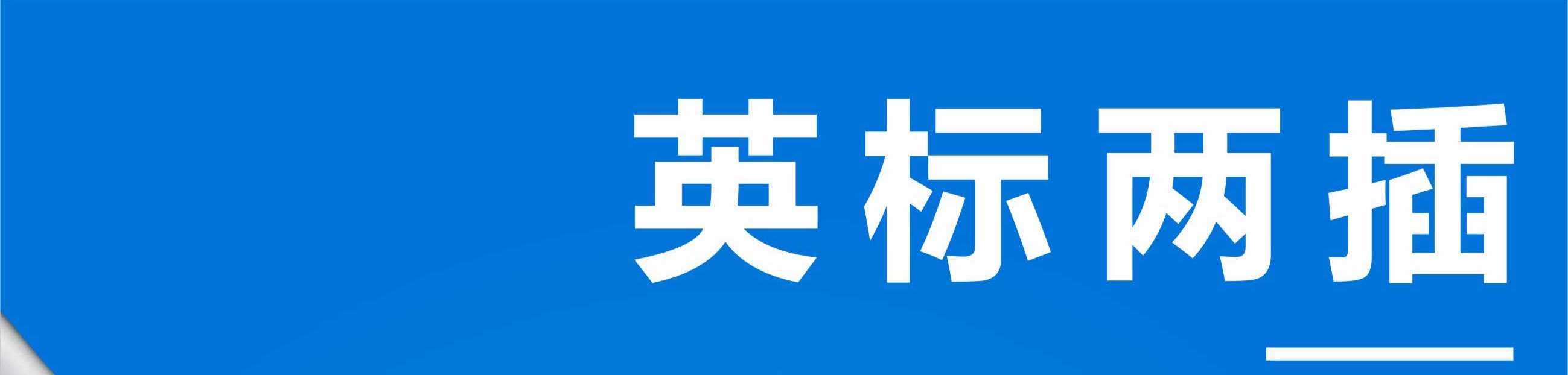 文件上传成功！