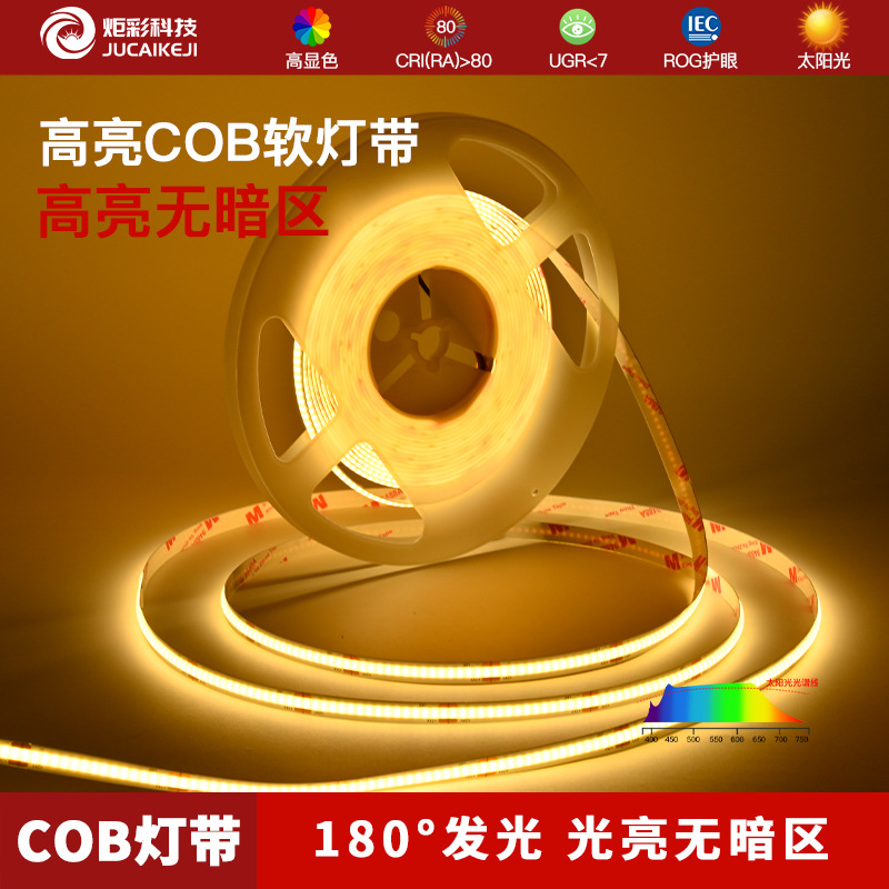 文件上传成功！