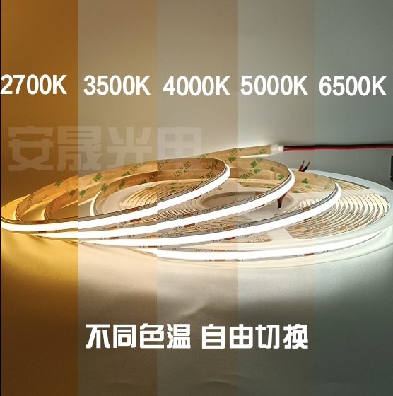 20260427155954560947.jpg
