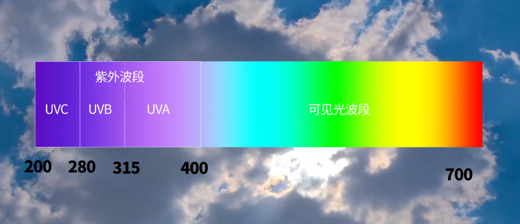 20260516154845642324.png